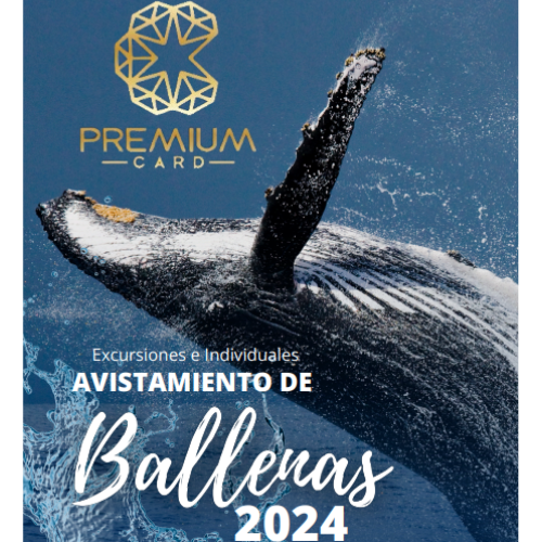 Avistamiento De Ballenas